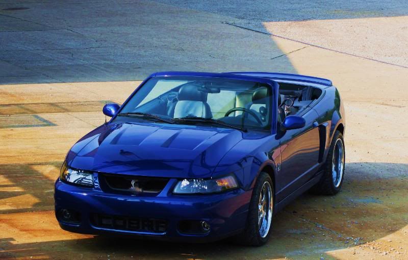 ... com/vb/showthread.php?29690-2003-Sonic-Blue-Cobra-Convertible-for-sale