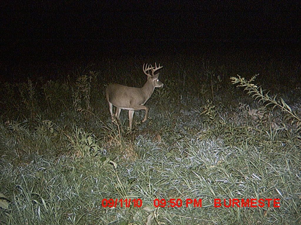 MDGC0805.jpg