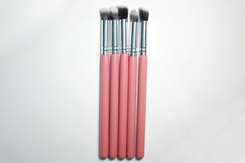 eBay Synthetic Kabuki Brush Set Review Sigma Sigmax Dupes
