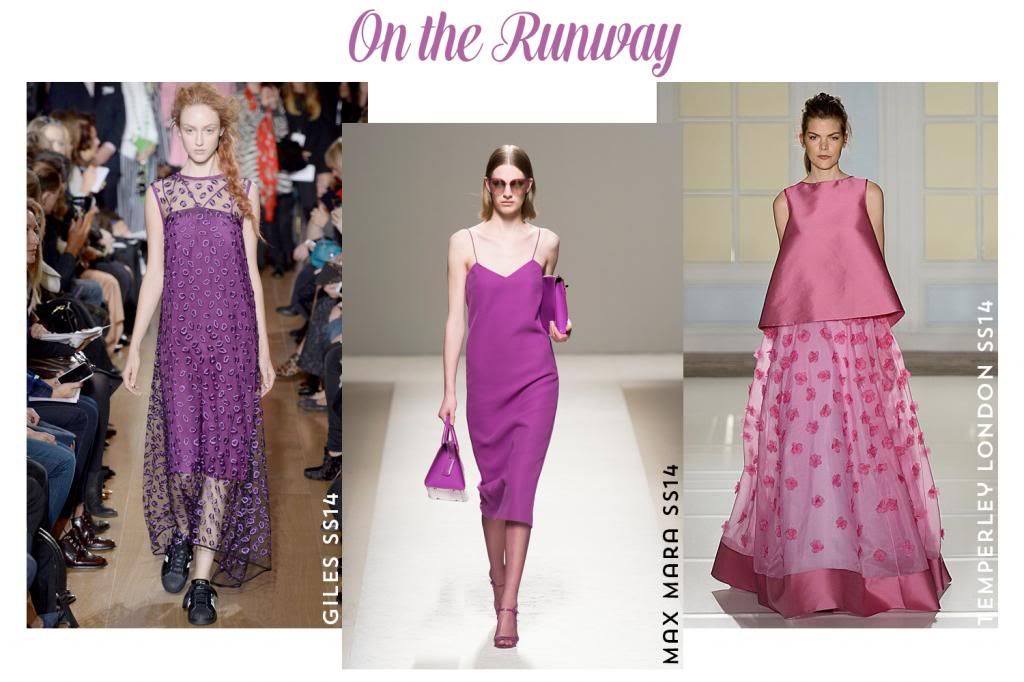 SPRING SS 2014 TREND REPORT: Radiant Orchid