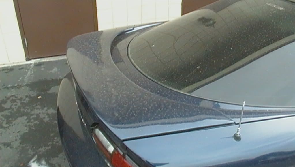 synergydetails021.jpg