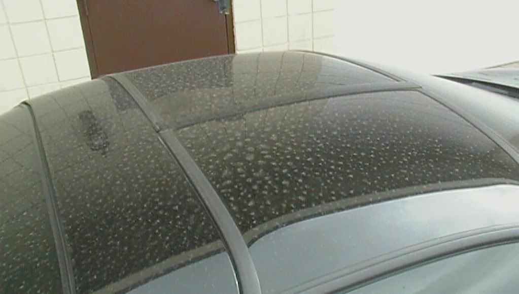 synergydetails022.jpg