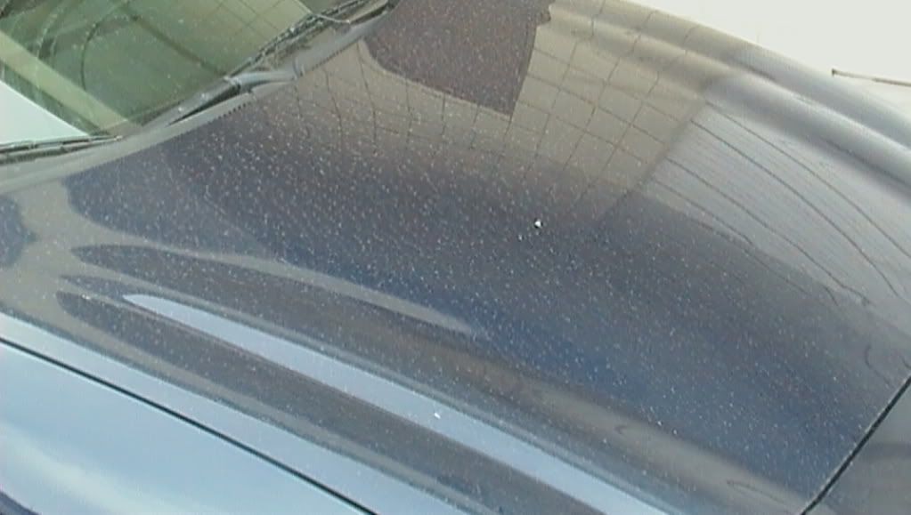 synergydetails023.jpg