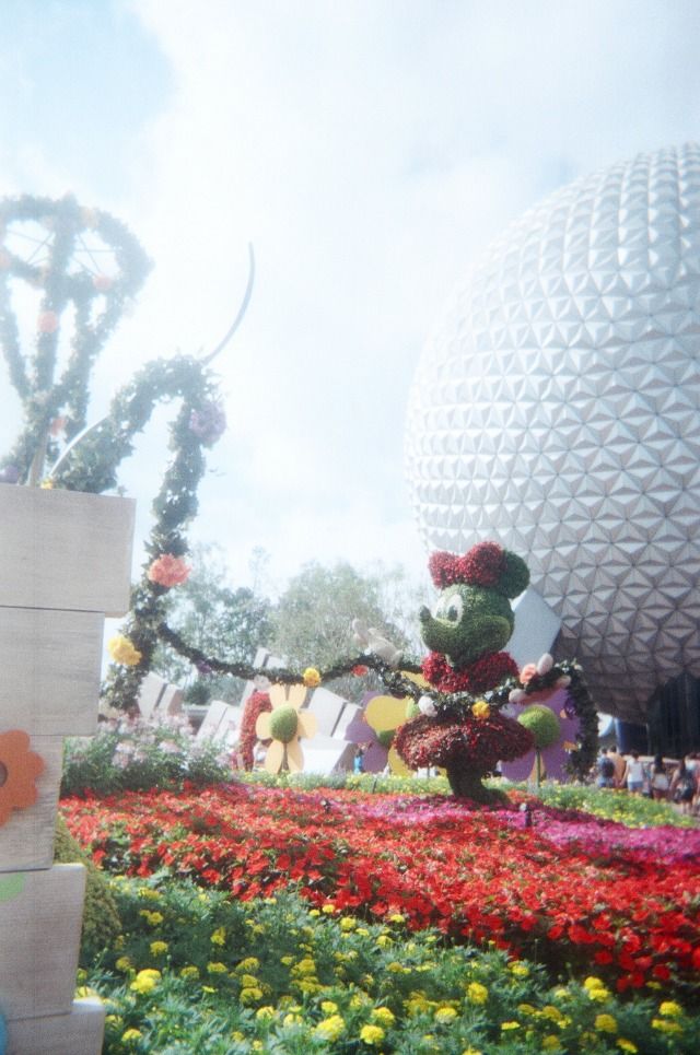 photo epcot_zpspxvbaacp.jpg