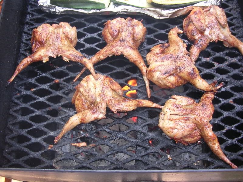 Grilled Quail The Texas BBQ Forum
