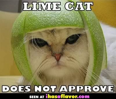 lime-cat-does-not-approve.jpg