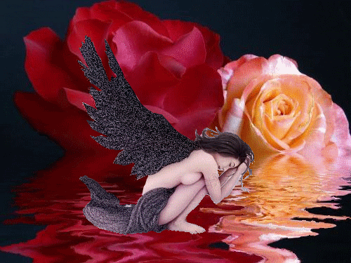 agua-y-rosas-1.gif