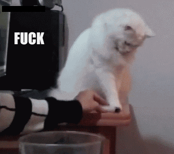  photo angry-cat-fuck-this_zps0870764c.gif