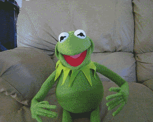 Kermit_Vs__Kermit_Animated_GIF_by_k.gif