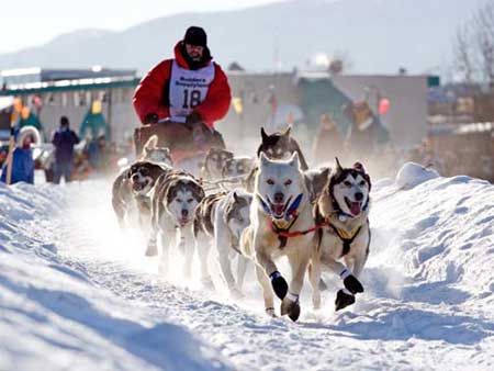 iditarod.jpg