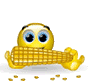 corn-on-the-cob.gif