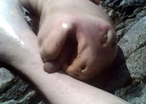 peces peces