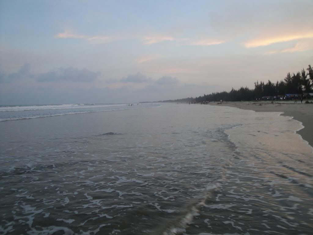 Posted Image
