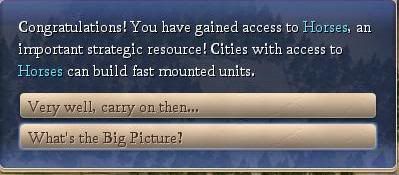 wehavehorses.jpg