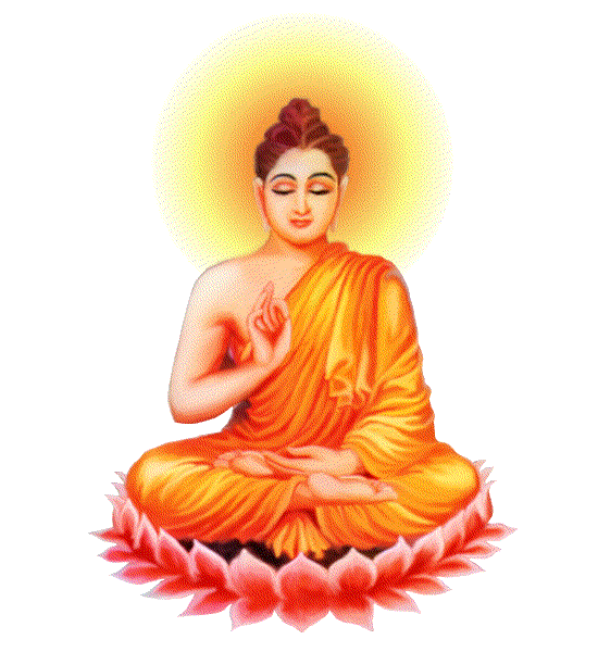 Buddha Pictures, Images and Photos