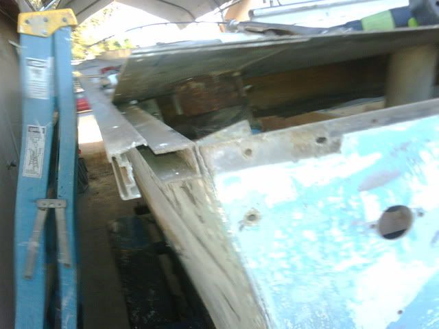trim2.jpg