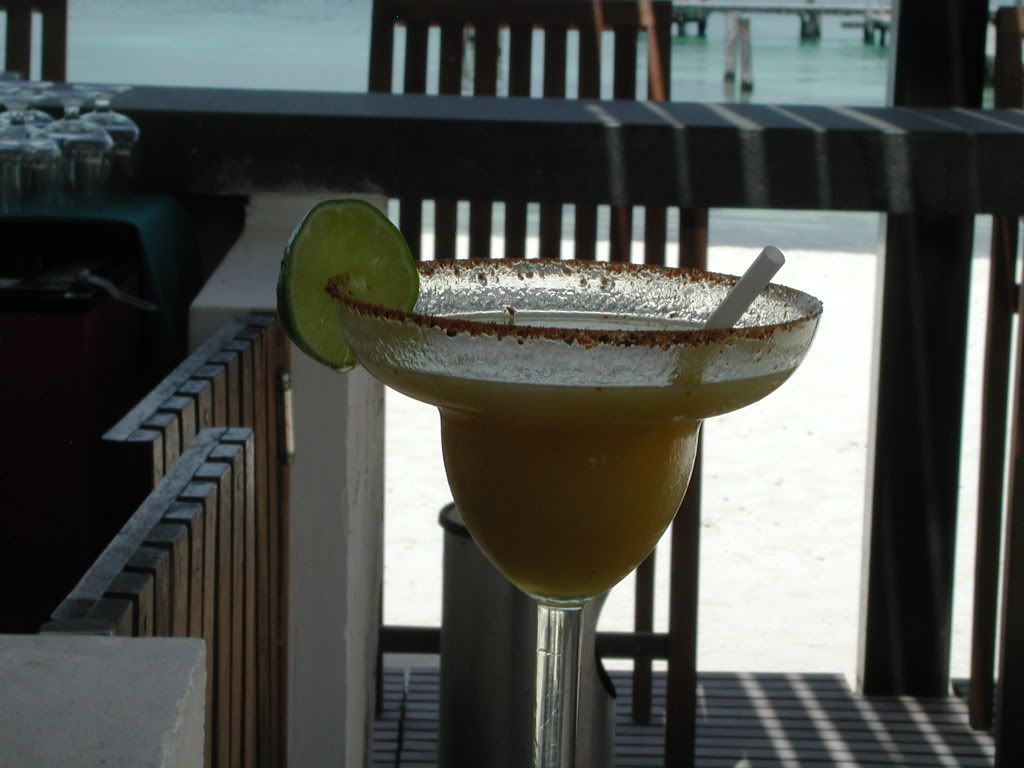 ZAMAS MANGO MARGARIA