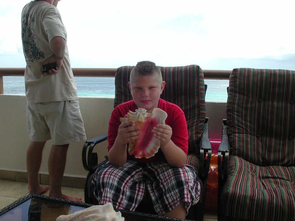 CONCH SHELL FOR JEREMYS COLLECTION