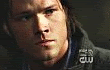 morose