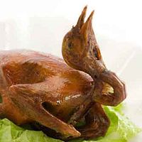 Burung 20dara Pictures Images Photos Photobucket