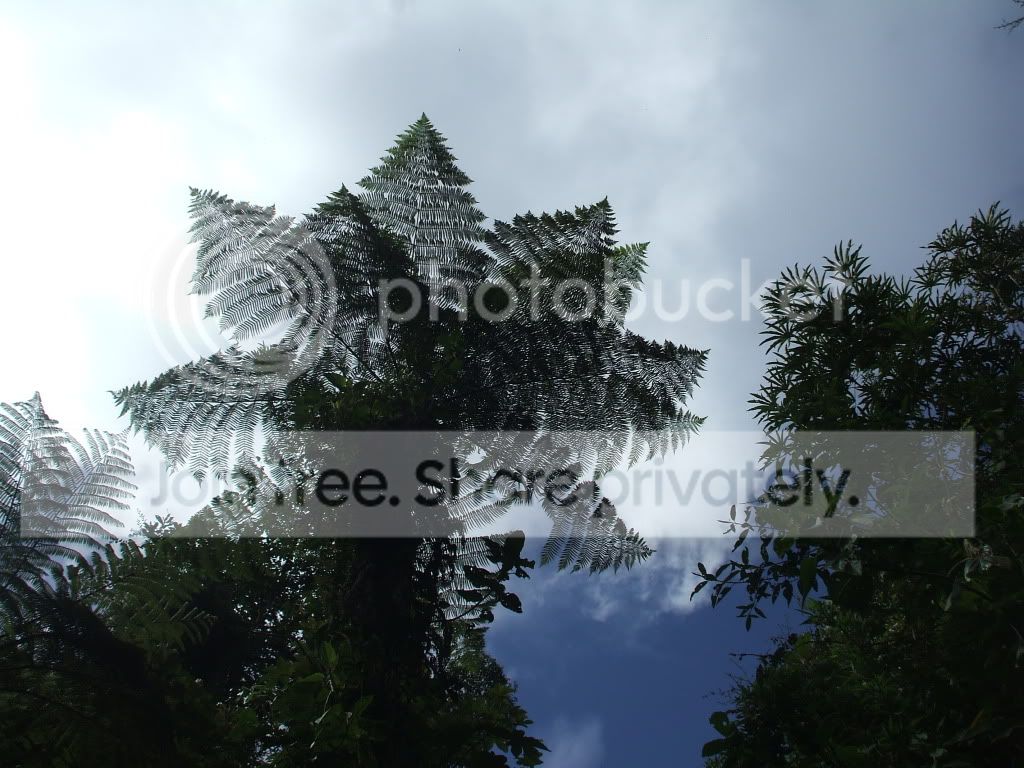DSCF7647.jpg