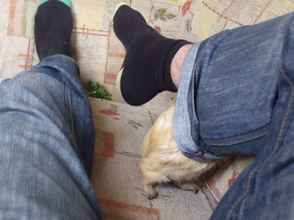 012-1.jpg