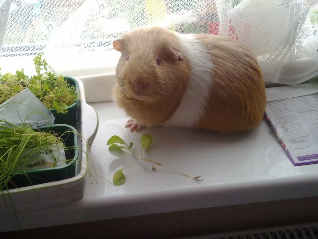 10062010325.jpg