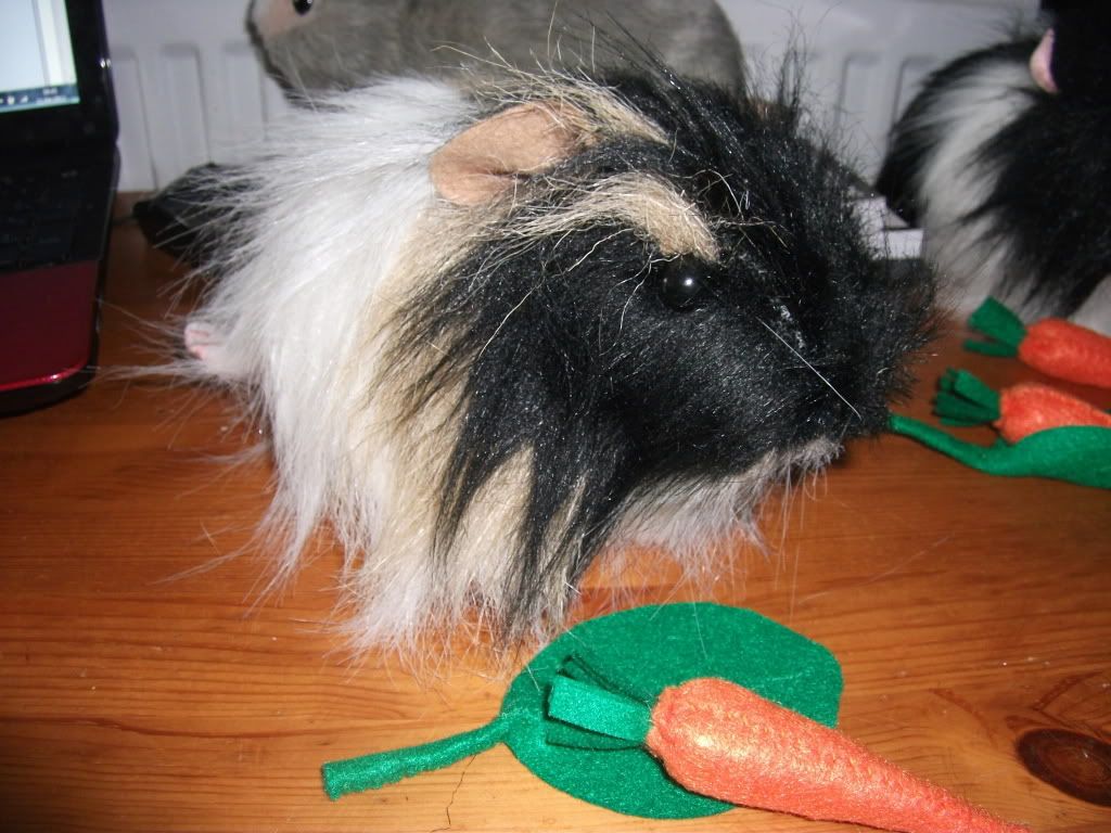 DSCF2509.jpg