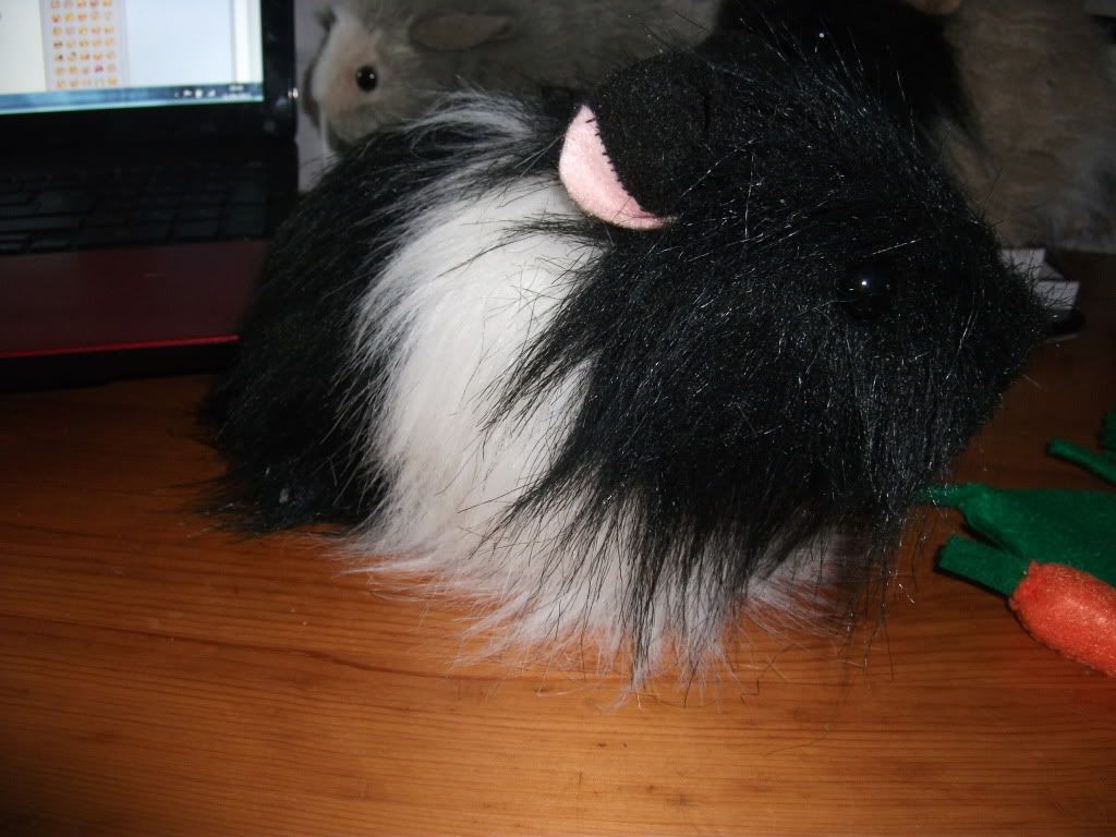 DSCF2510.jpg