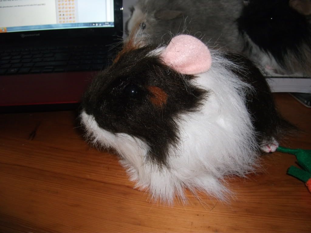 DSCF2511.jpg